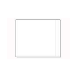 10 x 12 Clear Face Packing List Envelope